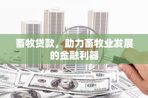 黄山畜牧贷款，助力畜牧业发展的金融利器
