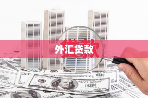 黄山外汇贷款