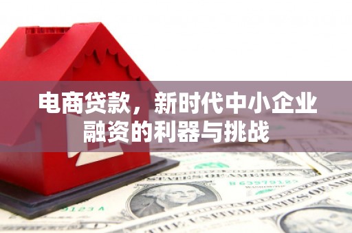 黄山电商贷款，新时代中小企业融资的利器与挑战