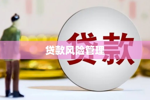 黄山贷款风险管理