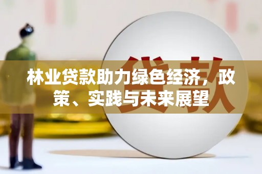 黄山林业贷款助力绿色经济，政策、实践与未来展望