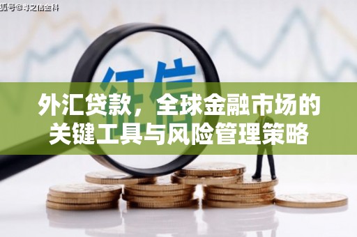黄山外汇贷款，全球金融市场的关键工具与风险管理策略