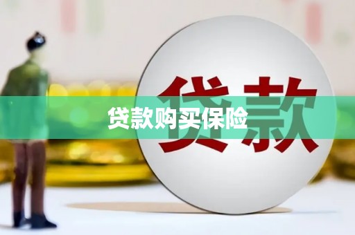 黄山贷款购买保险