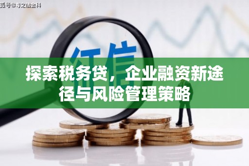 黄山探索税务贷，企业融资新途径与风险管理策略