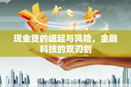 黄山现金贷的崛起与风险，金融科技的双刃剑