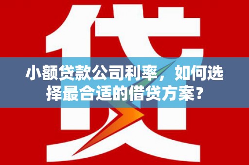 黄山小额贷款公司利率，如何选择最合适的借贷方案？