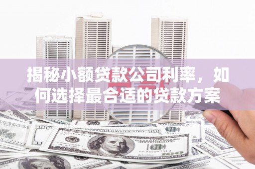 黄山揭秘小额贷款公司利率，如何选择最合适的贷款方案