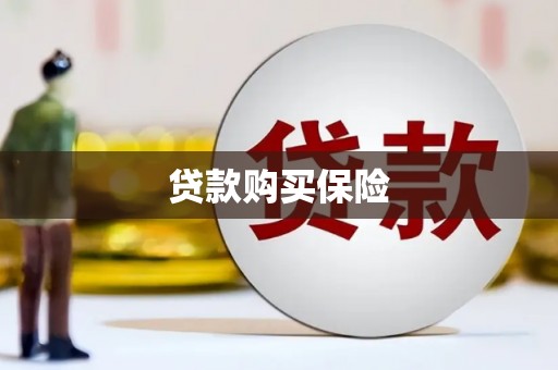 黄山贷款购买保险