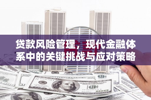 黄山贷款风险管理，现代金融体系中的关键挑战与应对策略